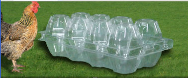 PVC Clear Plastic Egg Cartons , Transparent 8 Cavities egg holder tray