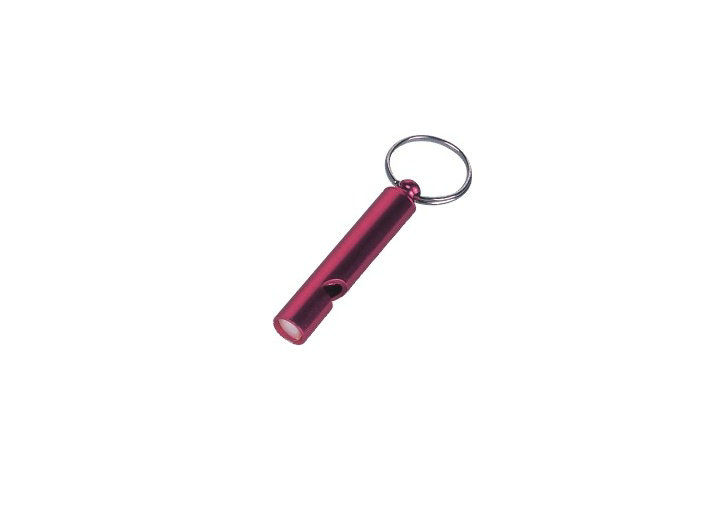 steel wire, aluminum Whistle customized color key ring / Promotional Keychains 30572